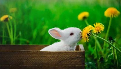 开云体育vip-英格兰奥运回顾：一步一脚印走向奖牌，英国奥运会英格兰世界杯